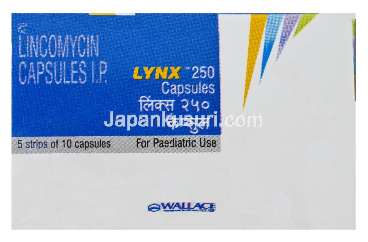 リンコマイシン塩酸塩ネオ・キミカ リーフレット